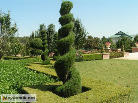 Ландшафтная архитектура и дизайн