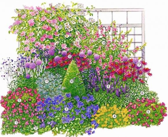 Миксбордер из многолетников - схема