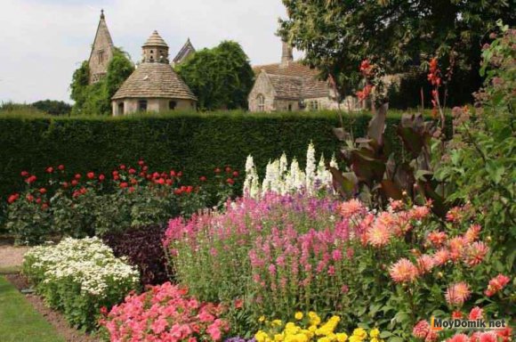 Миксбордер вдоль живой изгороди