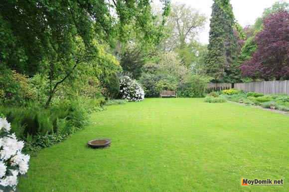 Партерный газон на участке