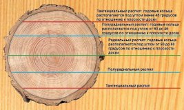 Направление распила древесины Направление распила древесины