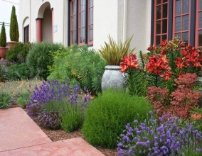 Ландшафтный дизайн участка в средиземноморский стиле Ландшафтный дизайн участка в средиземноморский стиле