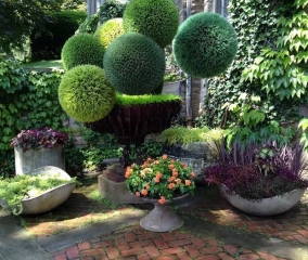 Красивые клумбы Красивые клумбы