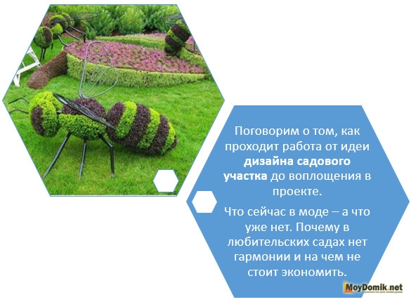 Ландшафтный дизайн садового участка – как оформить красивый сад и огород на даче