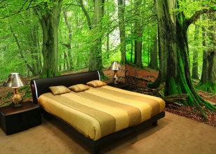 Панорамные 3d фотообои - лес Панорамные 3d фотообои - лес