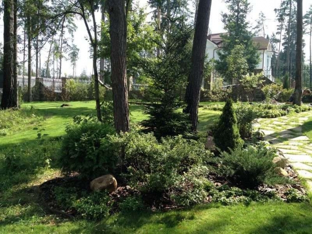 Ландшафтный дизайн дачного участка в загородном (лесном) стиле Ландшафтный дизайн дачного участка в загородном (лесном) стиле